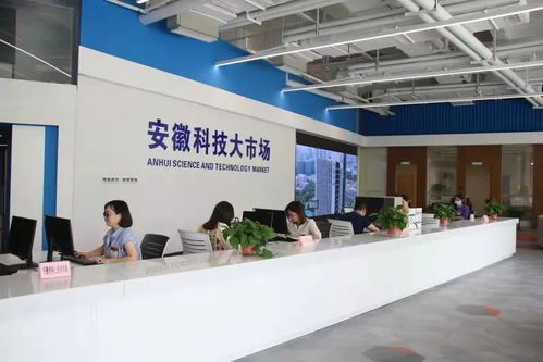 安徽科技大市場公開遴選科技信息咨詢服務機構，助力科技創新發展
